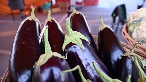 at the agriculture festival in the uae, locally grown eggplants are showcased for sale