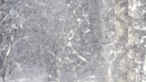 escena de un bosque nevado