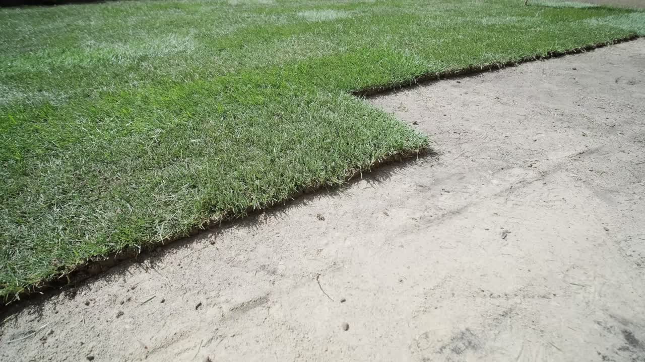 전문 정원사에 의해 설치 된 새로운 자연 잔디 잔디의 롤.