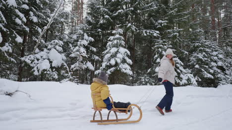 happy woman and her little son are having fun in forest mother is pulling sledge with child