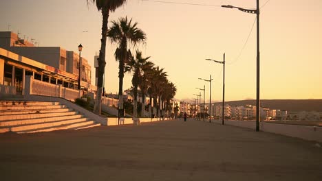 a peaceful seaside walk at sunset, with ocean views and palm trees lit by street lamps