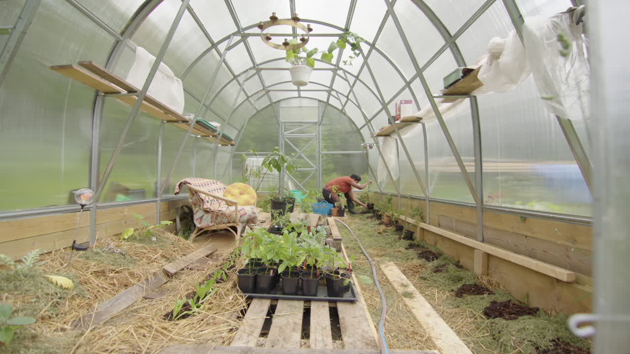 자급 자족, 슬라이더, 넓은 - 그녀의 거대한 온실에 여자 식물