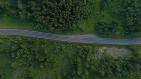 aerial view, directly over a winding country road with trees on either side