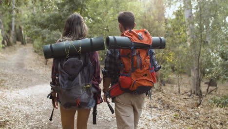 couple of backpackers walking in forest for camping