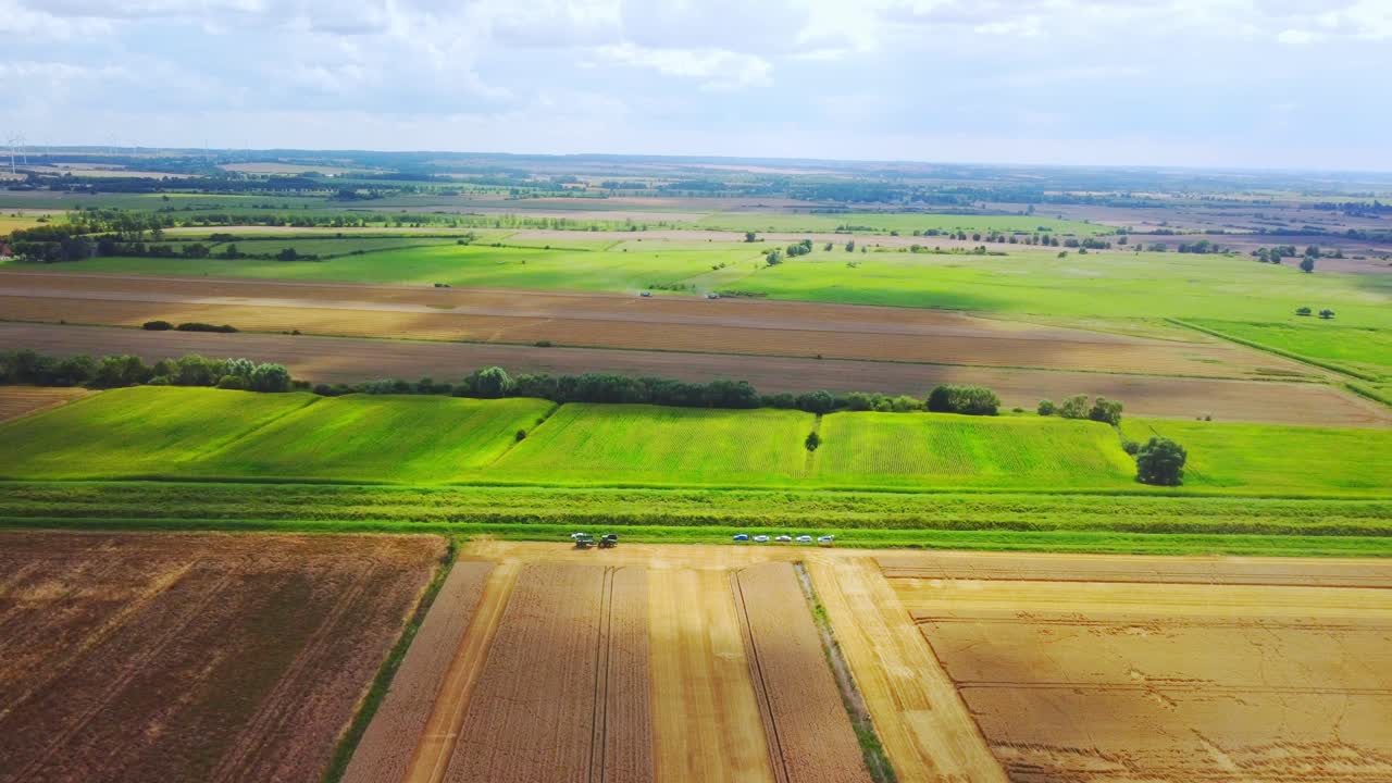 Aerial Yellow And Green Fields At Farm Landscape On Sunny Morning