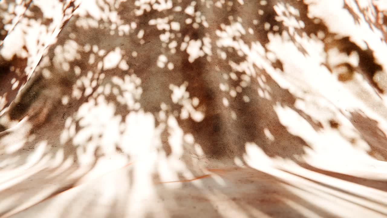 Dynamic Shadows of Leaves Moving on a Textured Surface