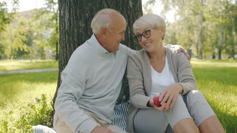 happy elderly couple enjoying a picnic in the park