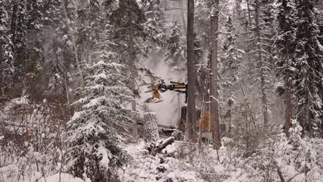 industrial timber manipulator saw machine takes snow-covered trees down in snowstorm, dramatic, part of a large series-1