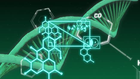 Animation-of-mathematical-equations-over-dna-strand-on-green-background