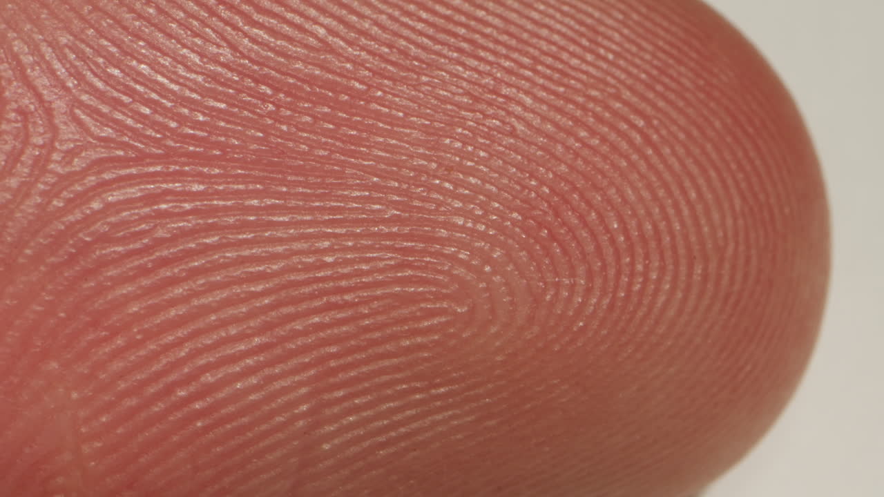 Close-up of man hand skin texture. Macro Detailed human skin, lines on hand palm. Fingerprints