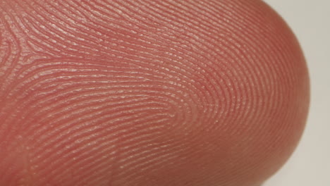 close-up of man hand skin texture. macro detailed human skin, lines on hand palm. fingerprints
