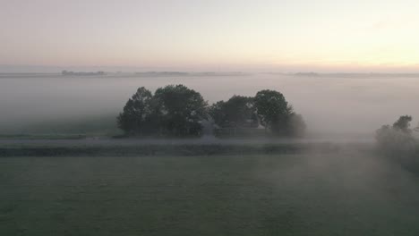 Friesischer-Bauernhof-An-Einem-Nebligen-Morgen,-Mit-Den-Kühen-Auf-Der-Wiese