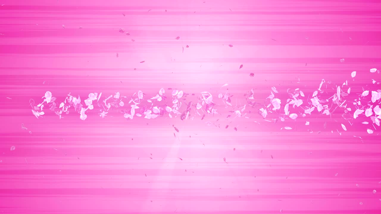 꽃의 나선형 반이는 입자, 사쿠라 패턴, 일본의 꽃 춤, 분홍색 꽃잎의 소용돌이, 추상적인 루프 애니메이션.