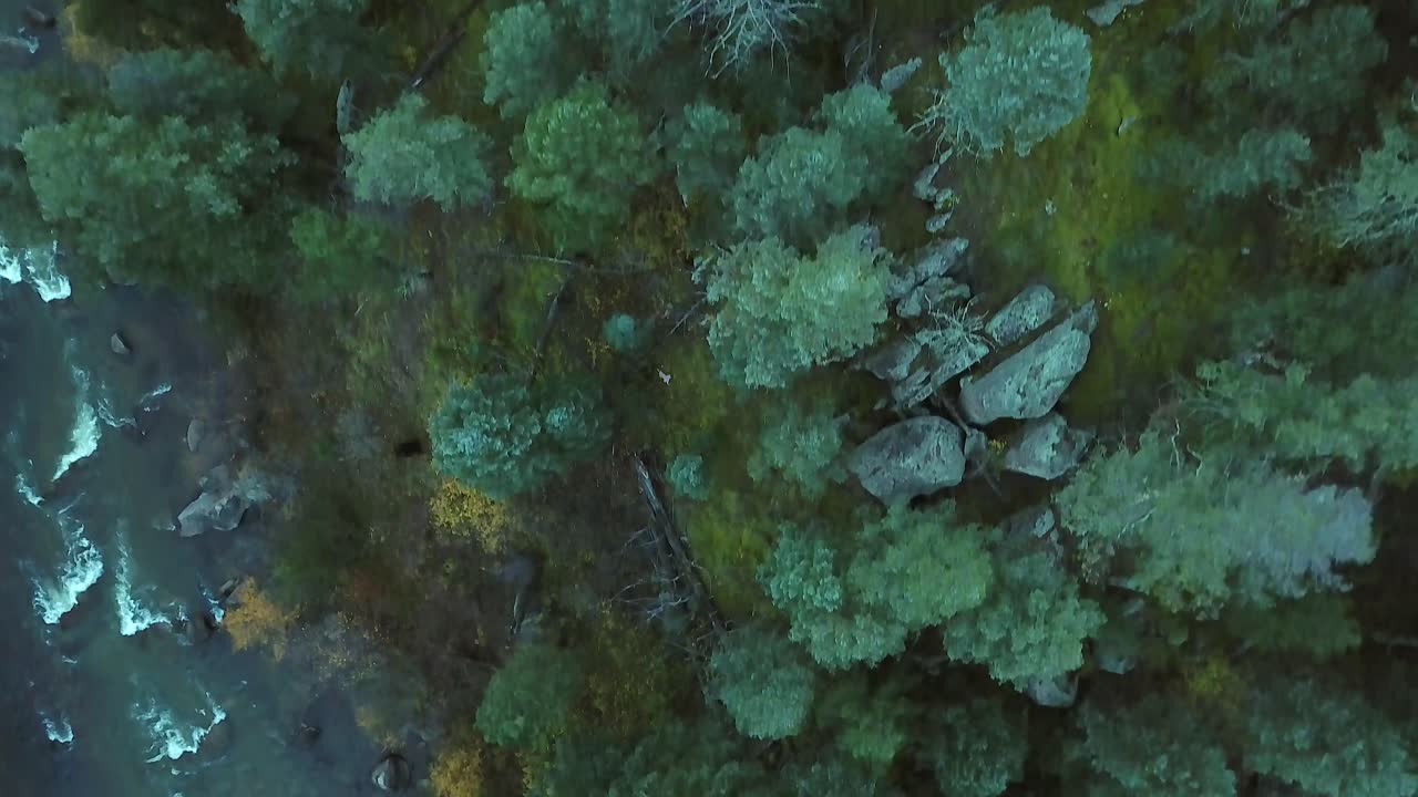 Vertical aerial of frost tipped autumn trees near small mountain river