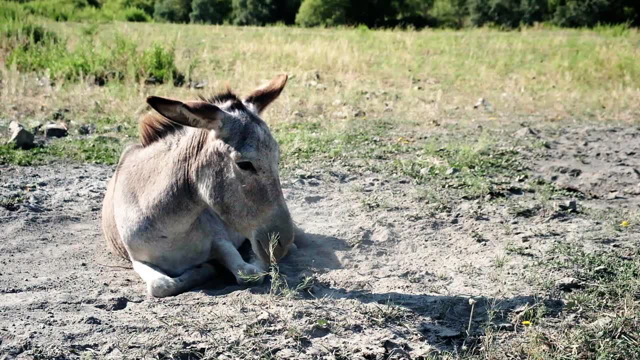 중앙 아시아 키르기스스탄의 아름다운 끝없는 풍경