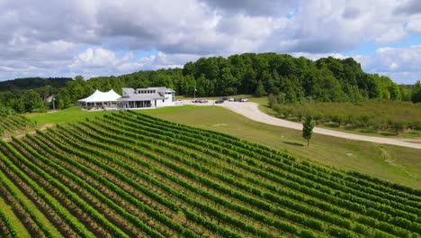 expansive aerial view of vineyard and winery near traverse city michigan, up in leelanau county, usa