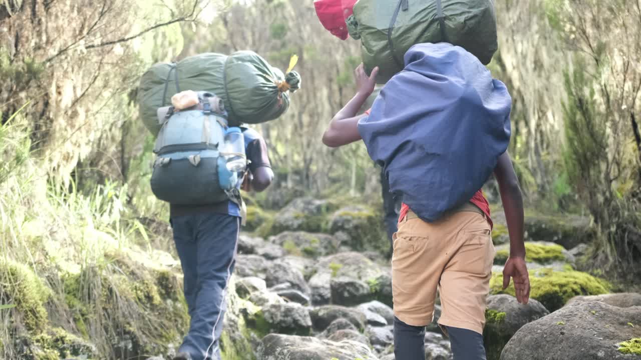 los porteadores caminan hacia el campamento durante la escalada del monte kilimanjaro