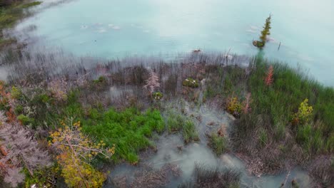 aerial drone footage of a flooded forest with trees and shrubs emerging from calm turquoise water