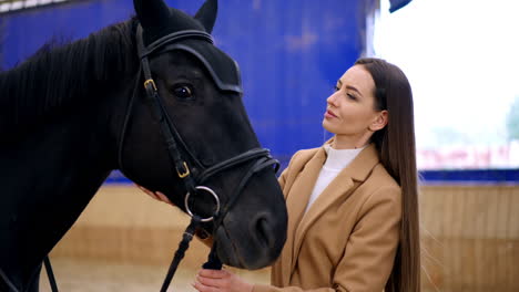 beautiful lady with long hair standing close to a black horse wearing ammunition. woman is petting and calming down the animal.