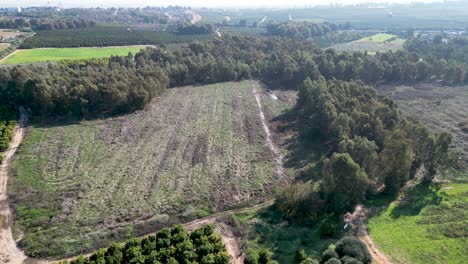 Videos-De-Drones-De-4k-Del-Estanque-De-Invierno-De-Rehovot,-La-Vida-Aislada-De-La-Temporada-De-Lluvias,-Antes-De-La-Inundación,-Rehovot-Israel