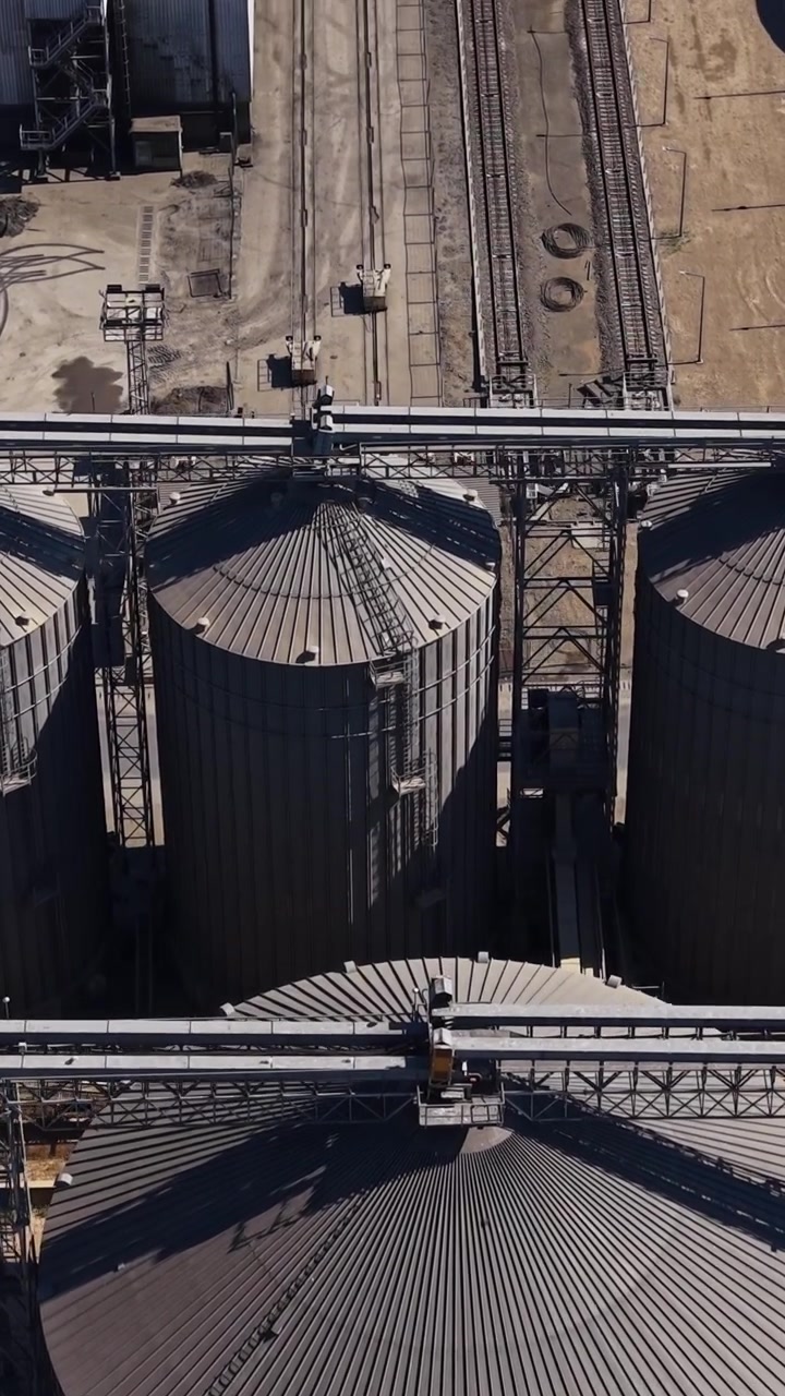 Silos per grano disposti in file presso un grande impianto di stoccaggio durante il giorno