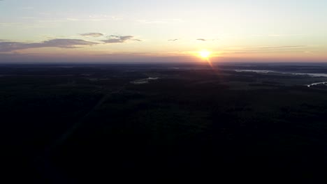 volando sobre el hermoso bosque matinal en los rayos del sol del amanecer.