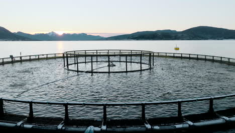 Aerial-in-Lofoten-during-Polar-Night-of-salmon-jumping-inside-round-marine-pens