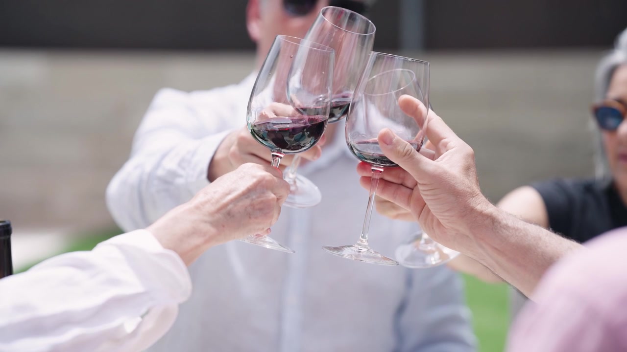 Group of Friends Toasting with Red Wine Outdoors