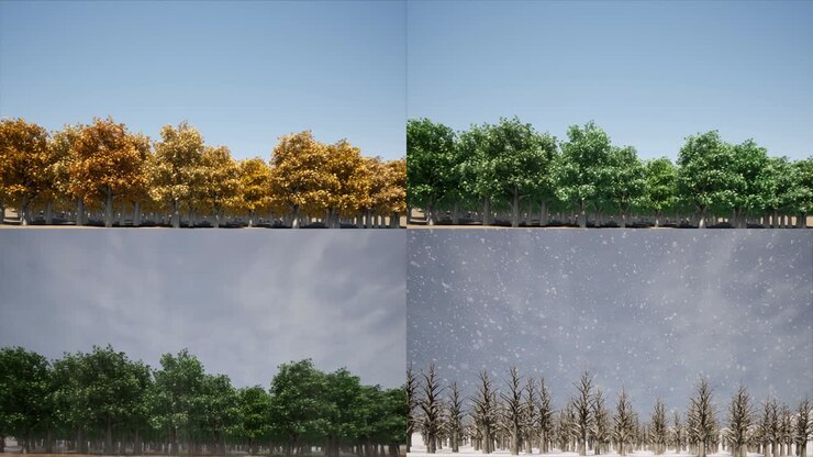 Paesaggio delle quattro stagioni, concetto natura 4K