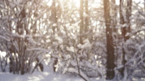 Winterlandschaft-Bei-Schneefall.-Abstrakter-Hintergrund-Für-Winterweihnachten-In-Superzeitlupe.