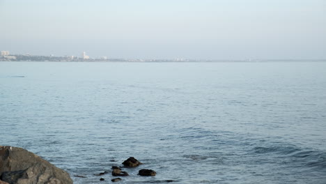 serene clear blue waters of beach malibu california, with dolphins moving around on the surface