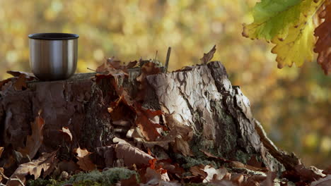 Mug-or-cup-on-tree-stump,-moving-autumn-leaves-forest-background,-stable-copy-space