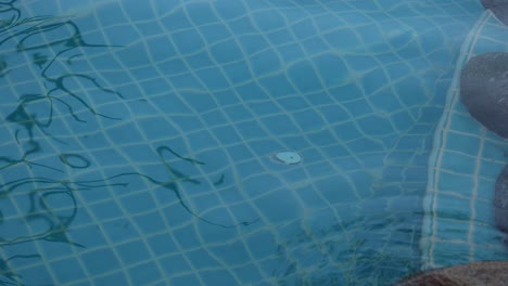 person climbing out of a swimming pool