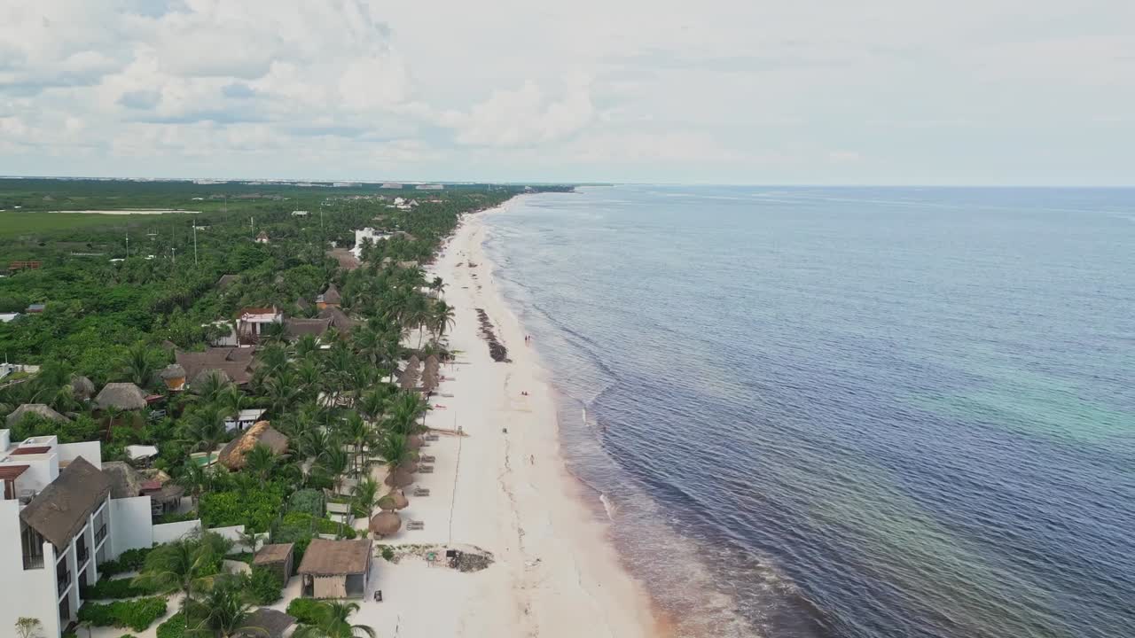 Aerial footage rising above a tropical shoreline lined with palm trees and cabanas, revealing the white sand beach and calm Caribbean Sea waters along the Riviera Maya, Mexico
