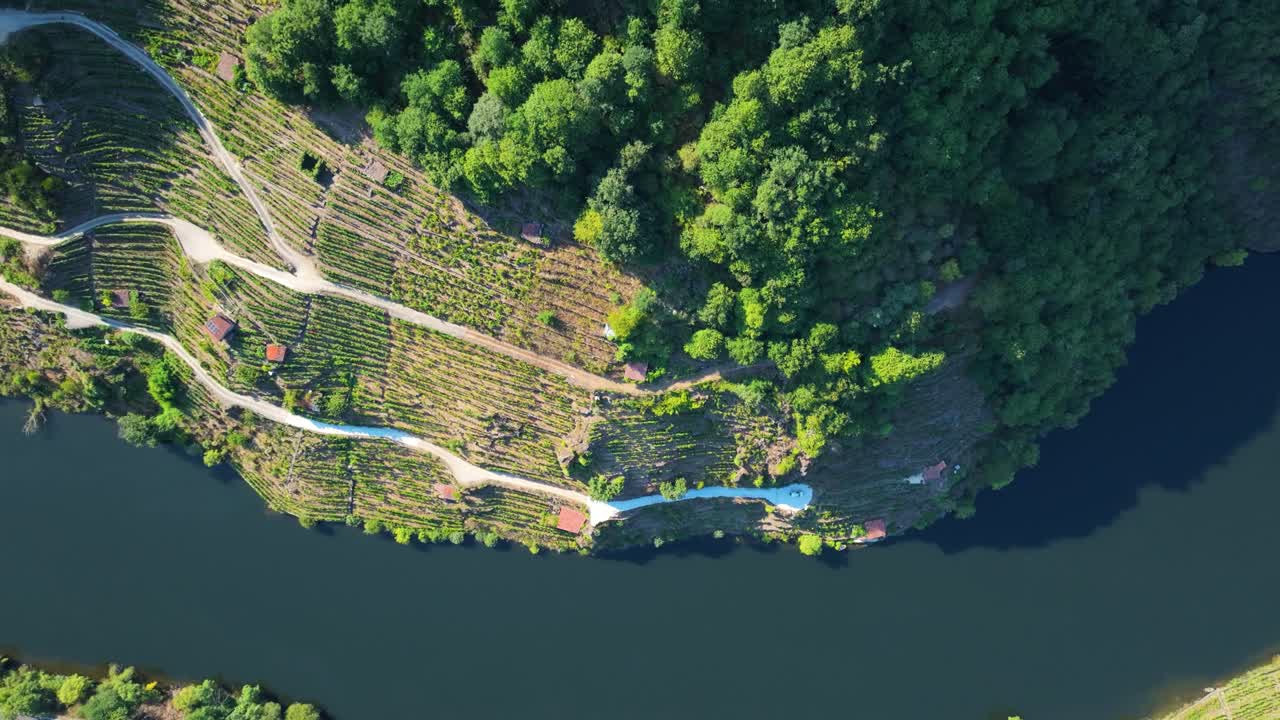 Aerial View of a Vineyard by a River