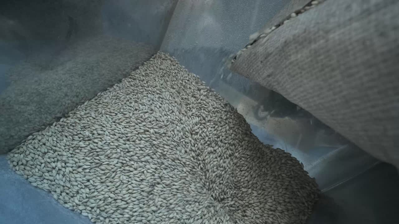 현대적 인 공예 맥주 양조장. 맥주 생산을 위한 몰트. 공예 맥주의 양조. 양조장에서의 현대적인 장비.