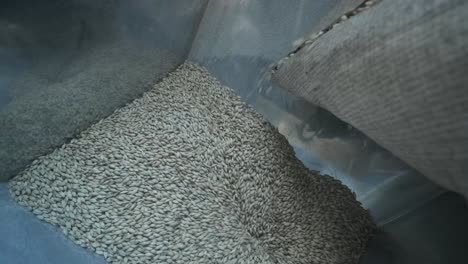 Modern craft brewery. Malt for beer production. Craft beer brewing. Modern equipment at the brewery.