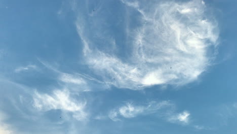 birds-in-the-sky