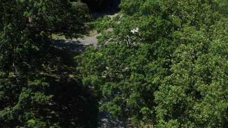 A-aerial-view-following-a-man-jogging-in-a-park-on-a-sunny-day