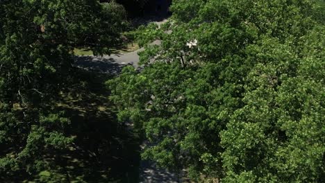 a aerial view following a man jogging in a park on a sunny day