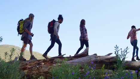 grupo de amigos caminando por el bosque 4k