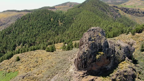 Roque-Saucillo:-Vista-Aérea-En-órbita-Sobre-La-Formación-Rocosa-Y-Un-Bosque-De-Pino-Canario-Al-Fondo