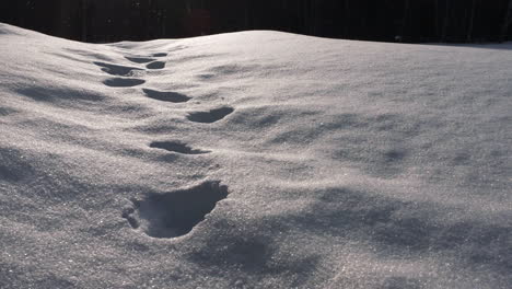 static view of a cold snow crystallized white blanket with footprints