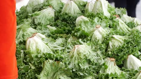 fresh lettuce at market