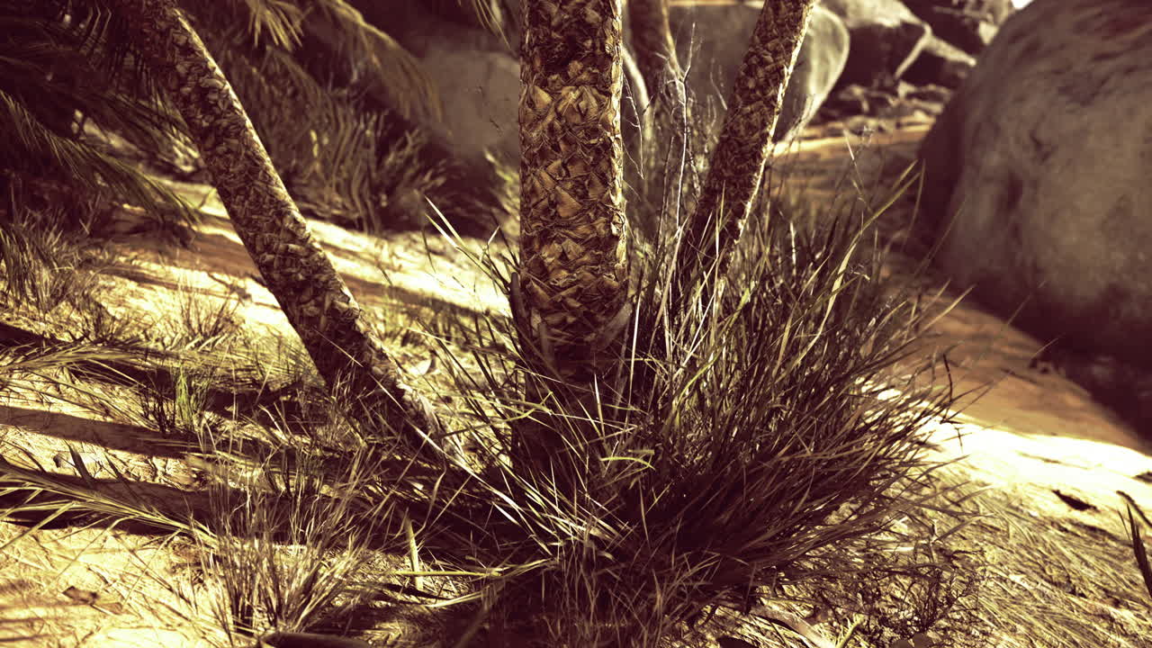 Palm trees and vibrant grass create a lush tropical landscape in sunlight