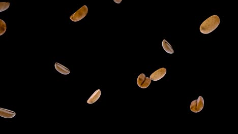 coffee beans falling on black with alpha matte
