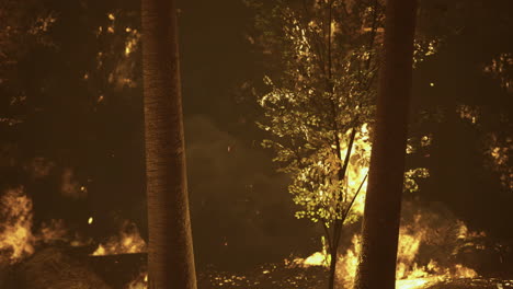 un incendio forestal envuelve árboles y vegetación en un incendio nocturno