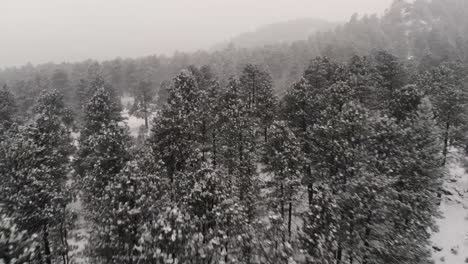 Drone-Volando-Sobre-Un-Bosque-En-La-Nieve