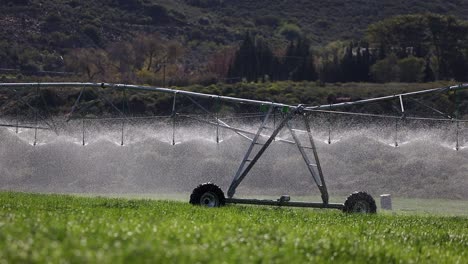 backlit spray from irrigation pivot irrigating sunny green field crop