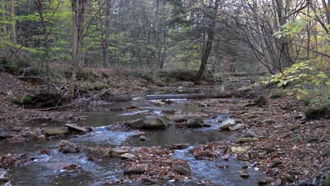 A-small-stream-flowing-through-the-forest-on-a-cool-autumn-day-in-the-mountains